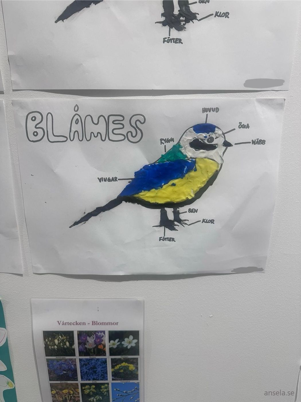 Målad blåmes på papper med kroppsdelarna utmärkta och namngivna, en måleriövning om djur och natur tillsammans med barnen